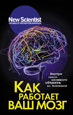 Как работает ваш мозг. Внутри самого сложного объекта во Вселенной