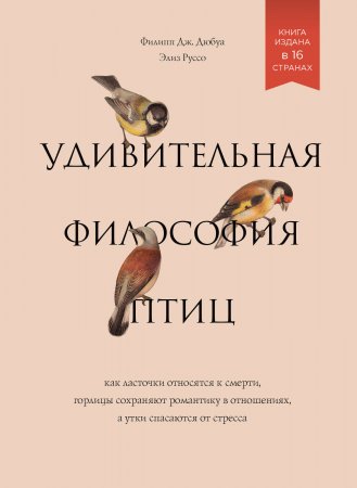 Удивительная философия птиц. Как ласточки относятся к смерти, горлицы сохраняют романтику в отношениях, а утки спасаются от стресса