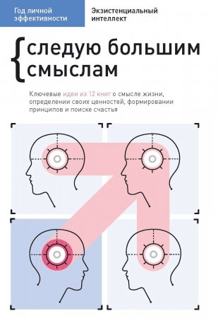 Год личной эффективности. Cледую большим смыслам. Экзистенциальный интеллект. Ключевые идеи из 12 книг о смысле жизни, определении своих ценностей, формировании принципов и поиске счастья