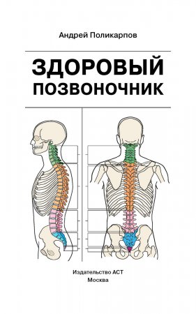 Здоровый позвоночник