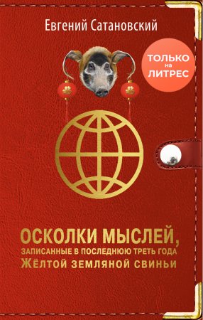 Осколки мыслей, записанные в последнюю треть года Жёлтой Земляной Свиньи