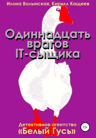 Одиннадцать врагов IT-сыщика